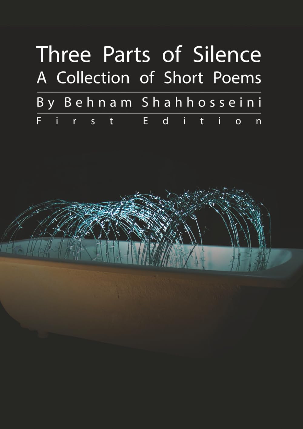 Three Parts of Silence: A Collection of Short Poems