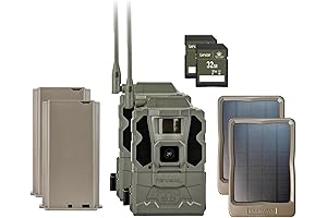 Tactacam Reveal Solar: The Essential Companion for Wildlife Observation Enhancement