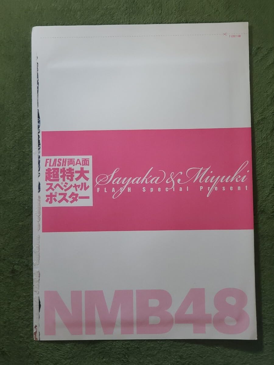 Amazon.co.jp: 山本彩&渡辺美優紀 FLASH超特大ポスター NMB48 アイドル