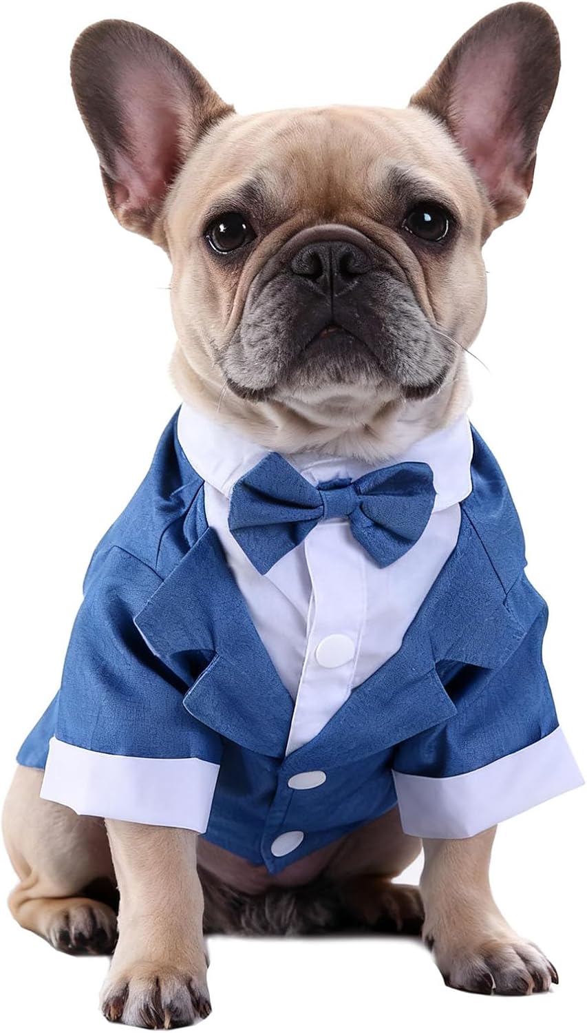 Traje para Perro Boda Tuxedo Formal Azul Pequeño