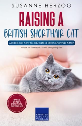 Raising a British Shorthair Cat – Guidebook how to educate a British Shorthair Kitten: A book for cat babies, kittens and young cats