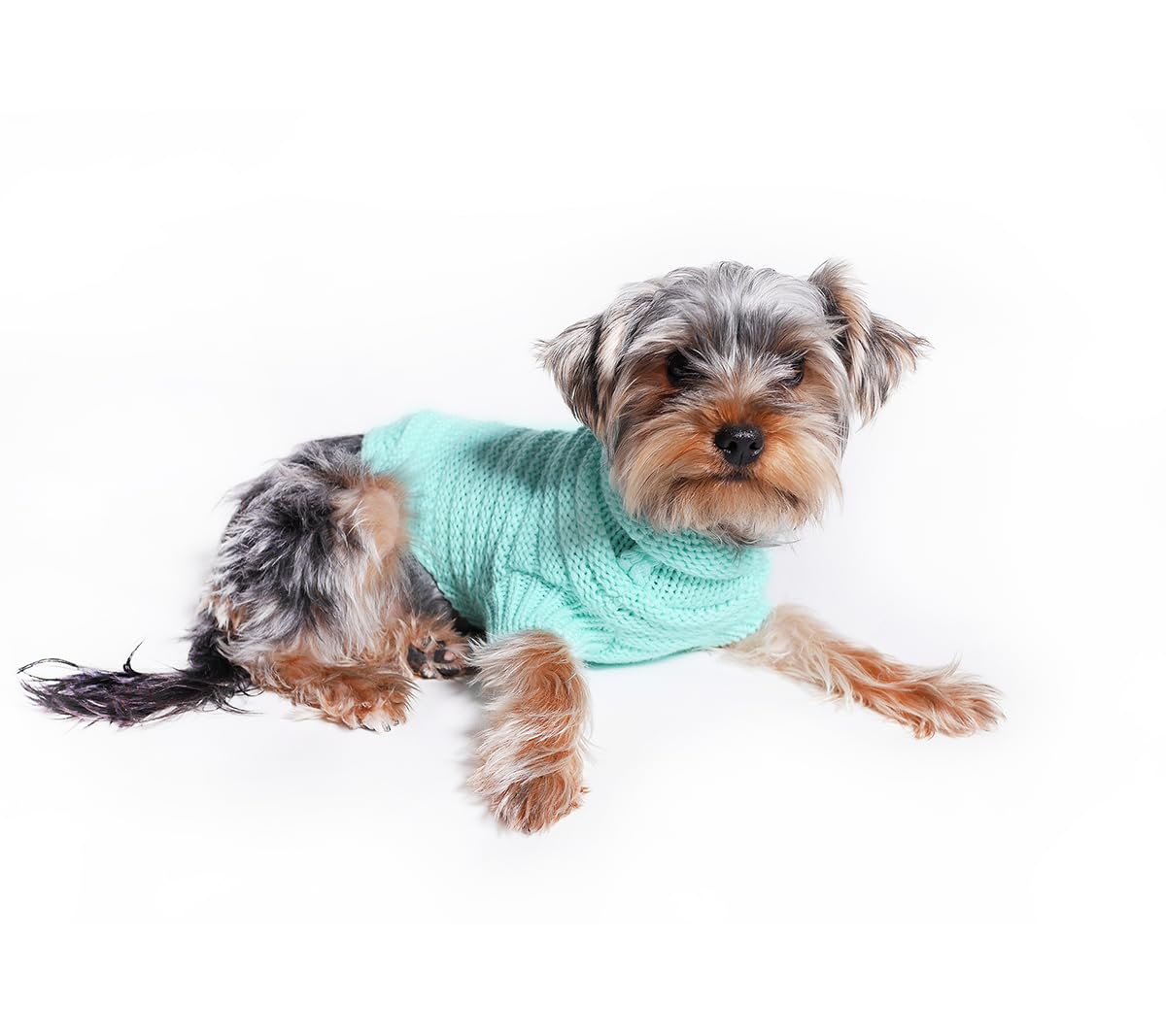 Pull pour chien Slim Menthe XXL idéal pour les balades fraîches en forêt