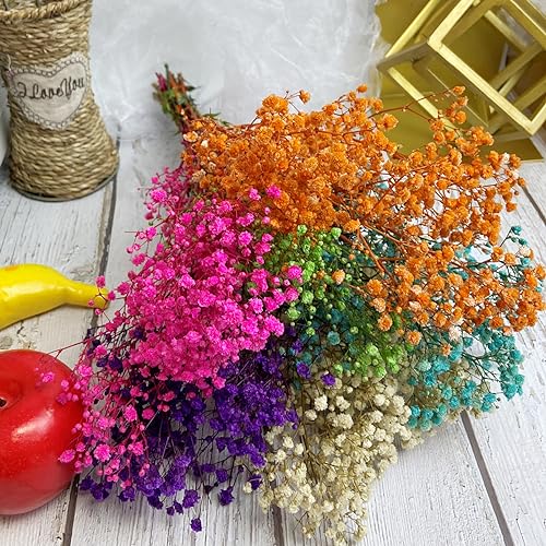 Preserved Baby's Breath Flores Secas Naturales 2 Unidades miniatura 5
