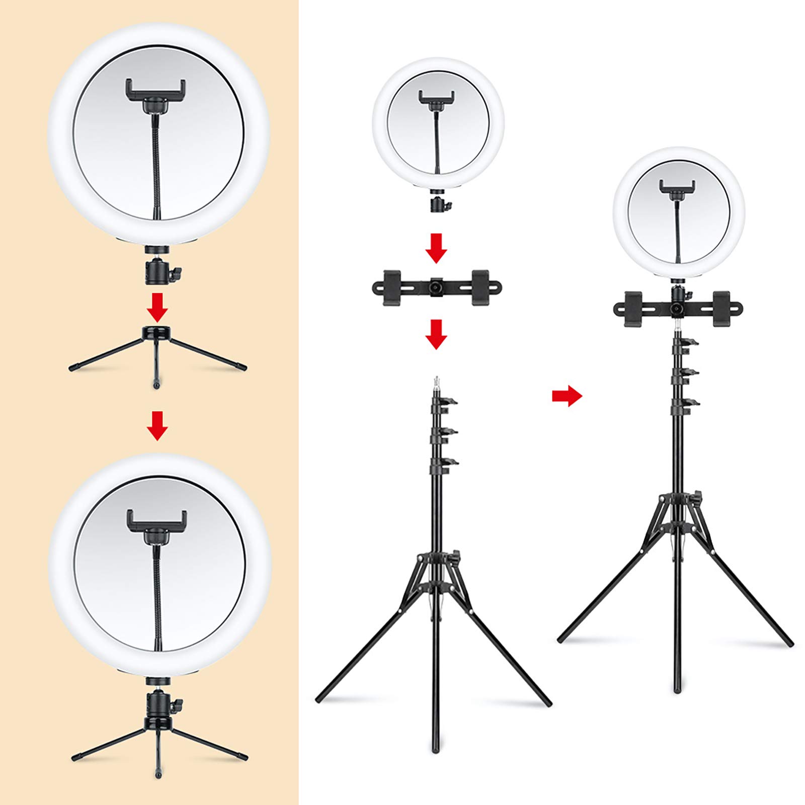10" Light Ring Selfie con Regolabile Basamento del treppiedi e Supporto del Telefono, Oscurabile Cerchio di Luce con Specchio per Il Trucco in Diretta di Youtube Video e la Fotografia