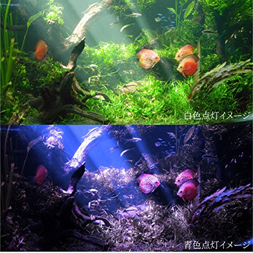 アクアリウム　LEDライト　まとめ売り 71CXIN6rUOL._AC_UL210_SR210,