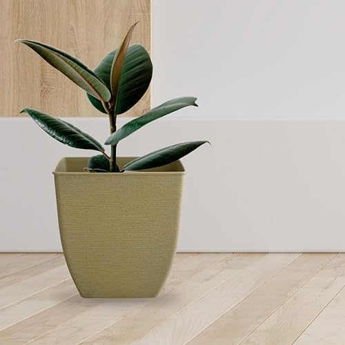 Miniatura 6 de Matri Owen - Macetas con drenaje, macetas de plástico de 6 pulgadas para plantas de exterior e interior, paquete de 2 macetas de plástico, maceta de