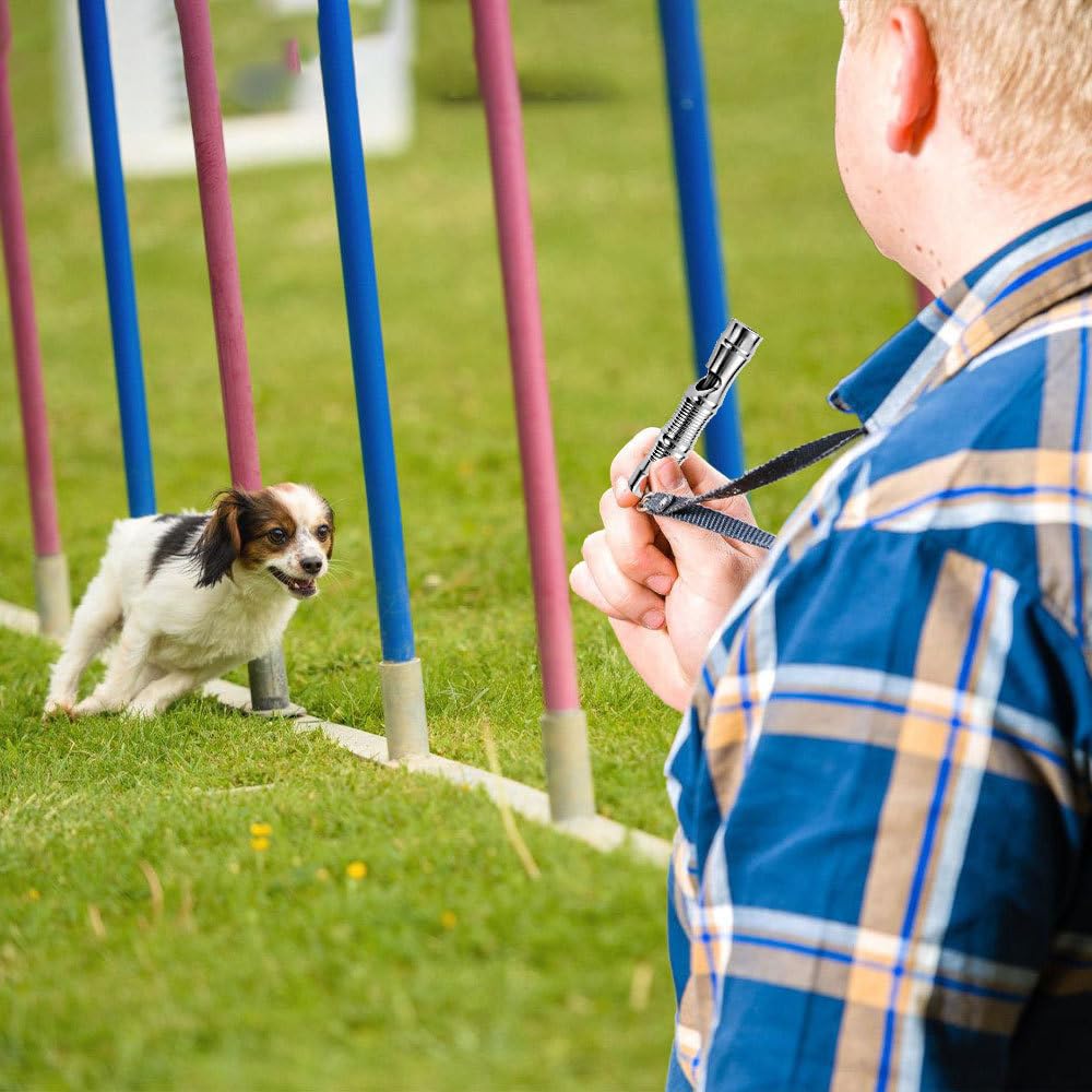 DONGKER Sifflet pour Chien,Sifflet d'urgence en Titane 120 DB avec Fermoir de Suspension pour Animaux de Compagnie,Entraînement,Sauvetage,Randonnée,Camping,Sports