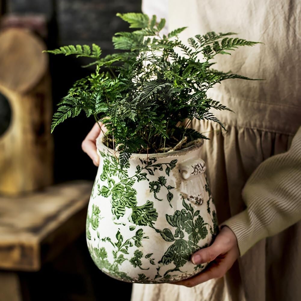 Pot en céramique craquelée : sublimez vos plantes sur une étagère de salon