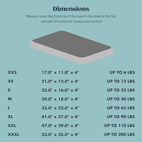 Miniatura 8 de Stoutwool - Cama indestructible para perros de 4 pulgadas, almohadilla ortopédica a prueba de mordidas para perros, alfombrilla mullida para