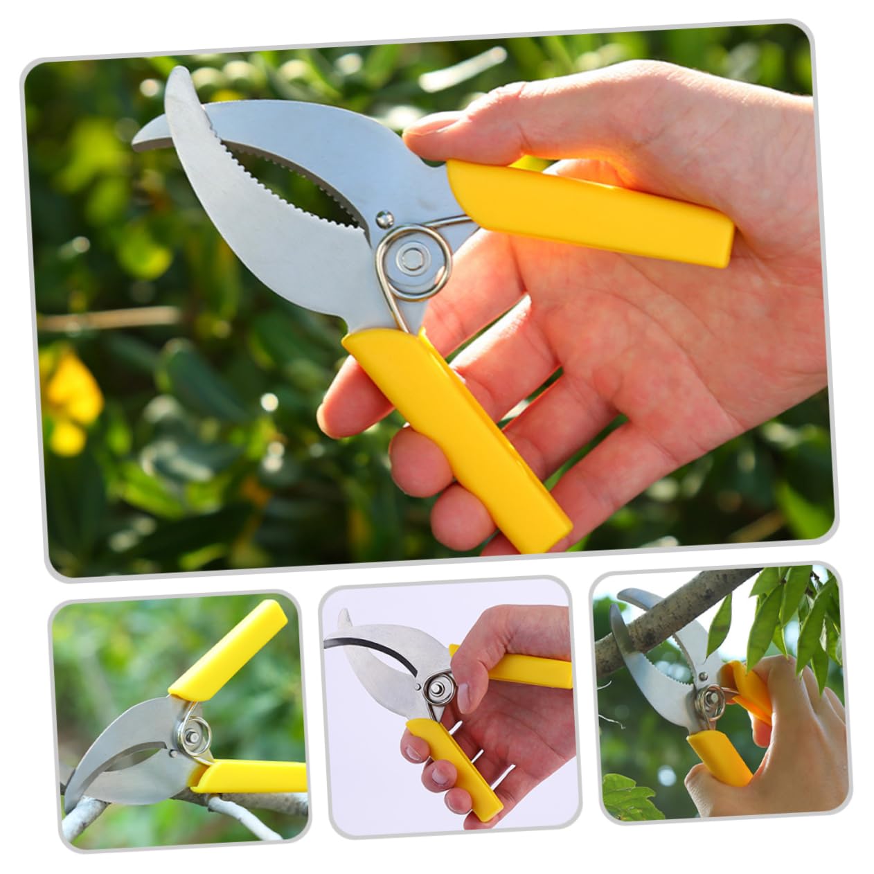TOYANDONA 3 Ensembles Cisailles À Ceinturer Taille Outil De Jardinage À Main Outil À Main De Plantation Outils À Main Du Jardin Sécateurs À Main De Jardin Plastique 2 Pièces * 3
