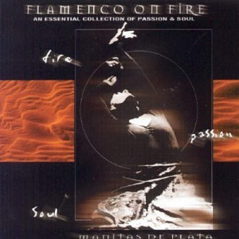 Flamenco On Fire (Latin) [Audio CD]