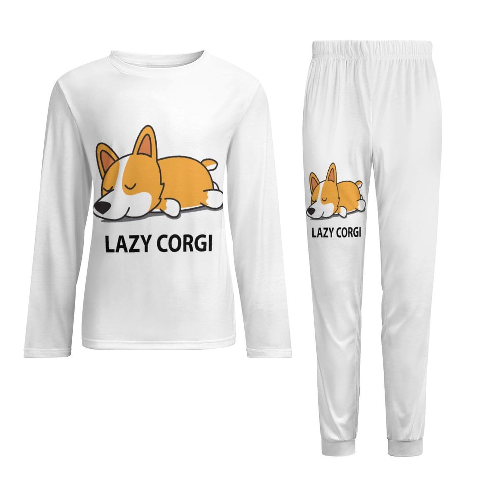 コーギーの子犬と散歩すると、こんなに注目されるって誰も教えてくれなかった。 : r/corgi, image size:1600x1600