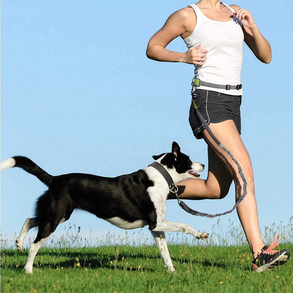 Hands Free Dog Lead for Running Training Walking,Extendable Bungee Dog Adjustable Waist Leash Belt,Reflective Stitches Dog Leash with Dual Handles for Medium to Large Dogs