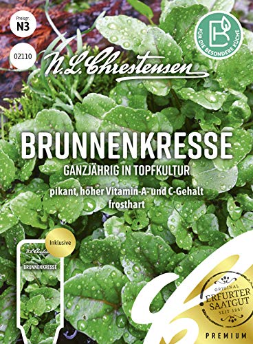 Brunnenkresse Ganzjährig in Topfkultur Samen, Saatgut