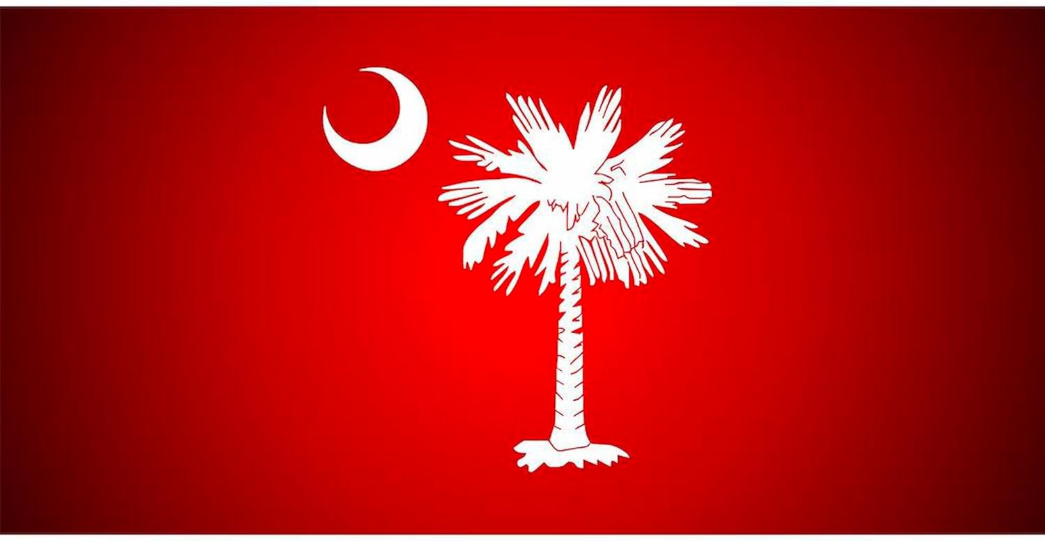 CafePress SC Big Red Aluminum License Plate, Front License Plate, Vanity Tag