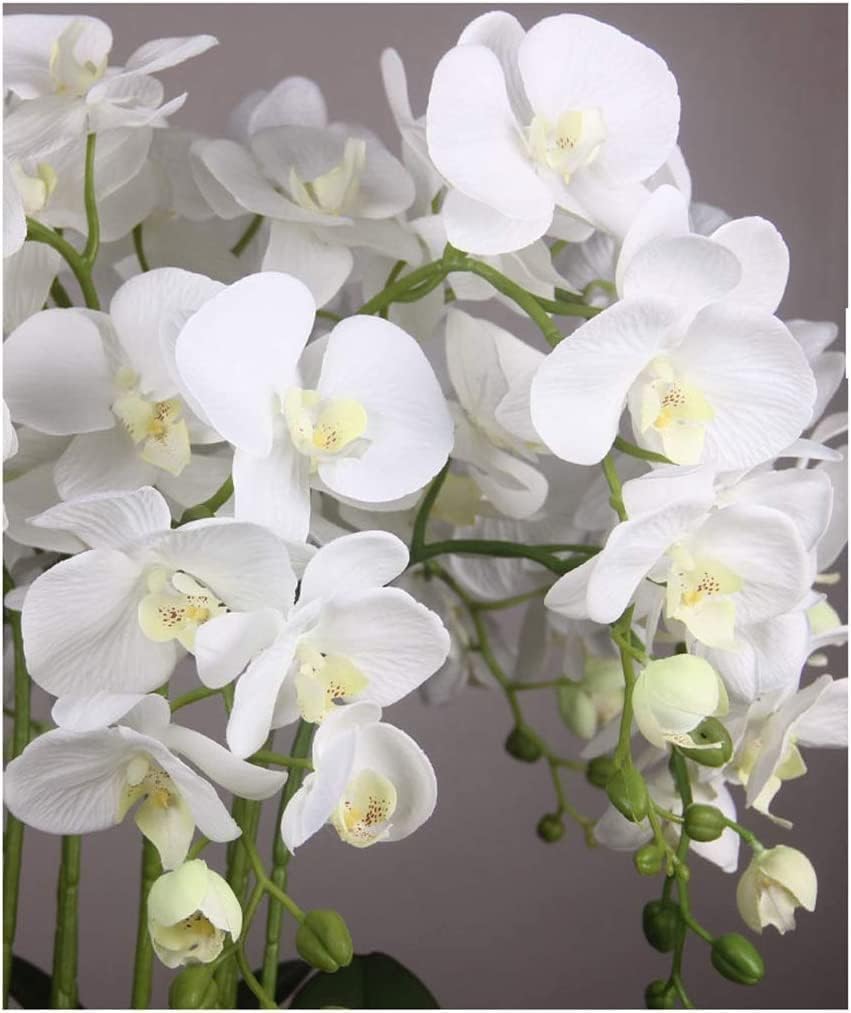 Orchidées artificielles en Soie, Fleurs artificielles avec Vase en céramique, Fleurs de phalaenopsis artificielles en Pot, Fausses Fleurs botaniques artificielles en Pot