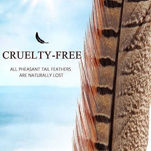 Ihufeather 20Pcs Natural Pheasant Feathers, Male Tails Feathers 16-18Inch For Diy Crafts Wedding Party Centerpieces Christmas Home Decoration #TOP2