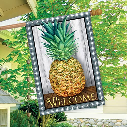 Checkered Pineapple Everyday House Flag Welcome 28" X 40" Briarwood Lane #TOP2
