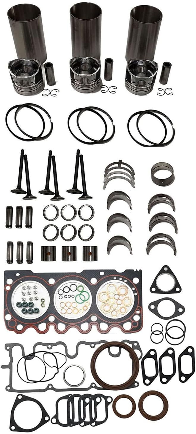 Qyljday F3L1011 F3L1011F Engine Overhaul Rebuild Kit STD