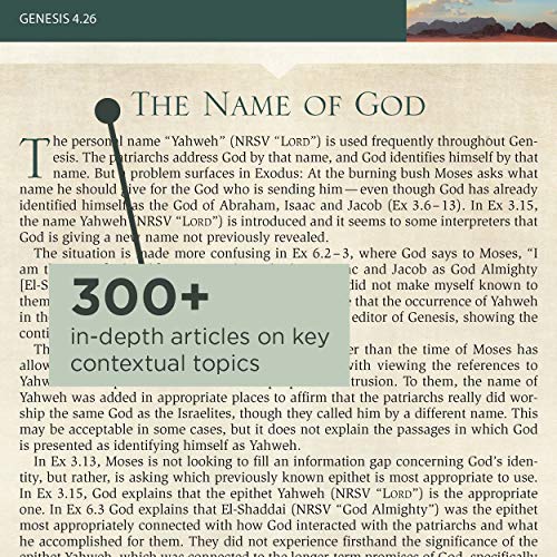 Nrsv, Cultural Backgrounds Study Bible, Leathersoft, Tan/Brown, Comfort Print: Bringing To Life The Ancient World Of Scripture #TOP3