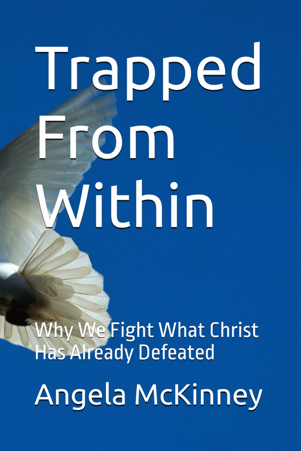 Trapped From within: Why We Fight What Christ Has Already Defeated (Keep Standing In Spite Of The Storms)