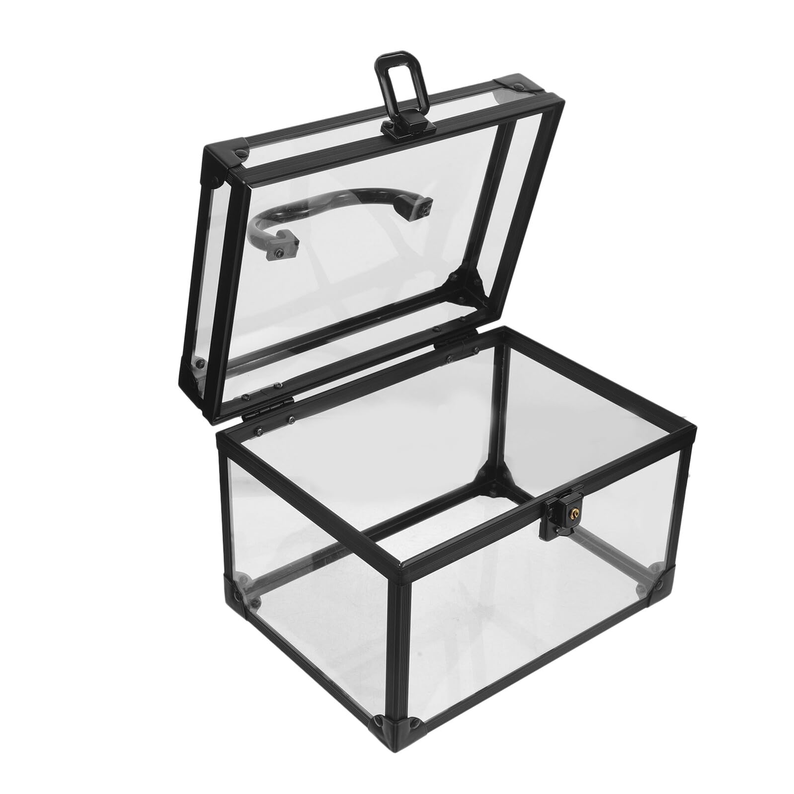 Hohopeti Scatola Porta Dischi in Vinile con Coperchio e Maniglia, Custodia in Plastica Trasparente per CD e Dvd, Organizer Compatto per Casa e Ufficio, Protezione Anti-graffio e Polvere