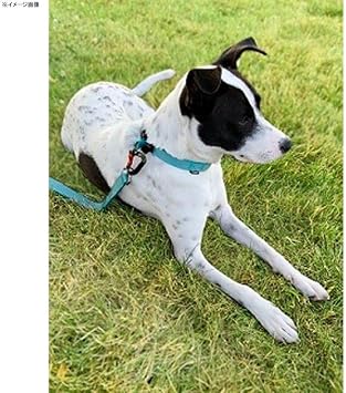 Rocking Martingale Collar Large Pink Peony