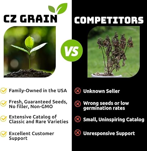 Miniatura 3 de Plantas vivas de raíz de sangre para el cultivo - portainjertos saludables - Sanguinaria Canadensis - Planta medicinal (3 plantas)