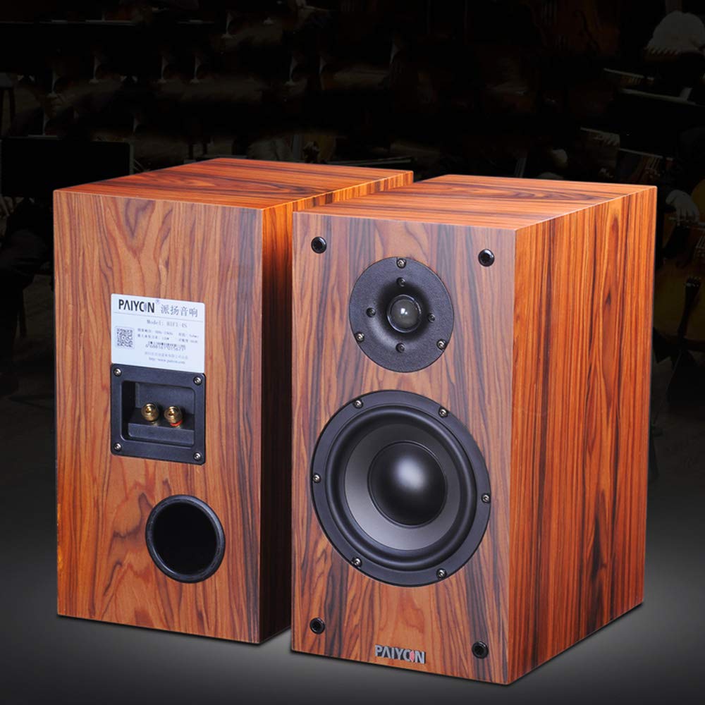 Qzuauku Paiyon P4 Hi Fi Audio Bookshelf Loudspeaker