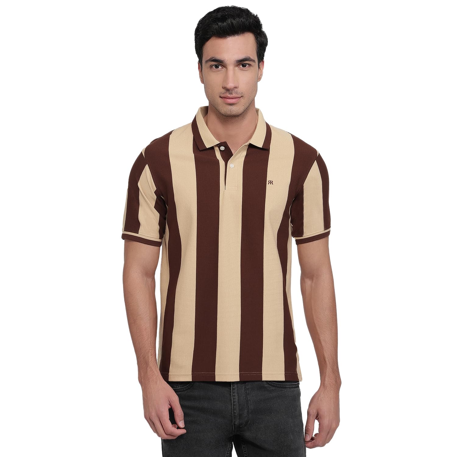 Raymond Men Modern Fit Stripe Pattern Pure Cotton Polo Neck Half Sleeve Casual T-Shirt-image-2