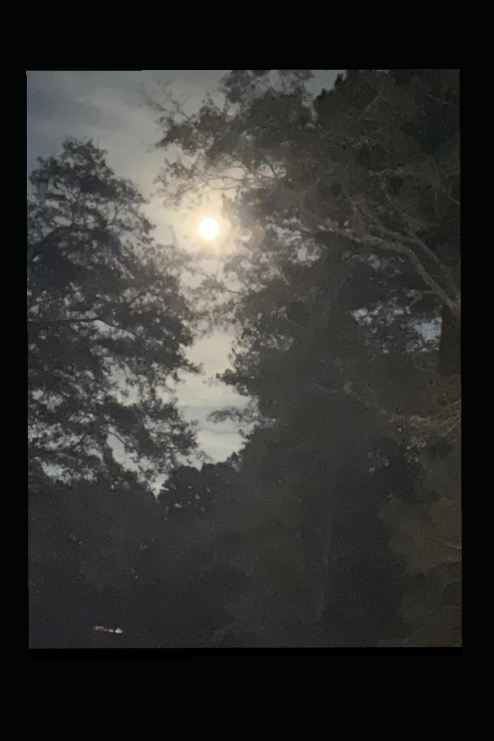 SHADOW MOON