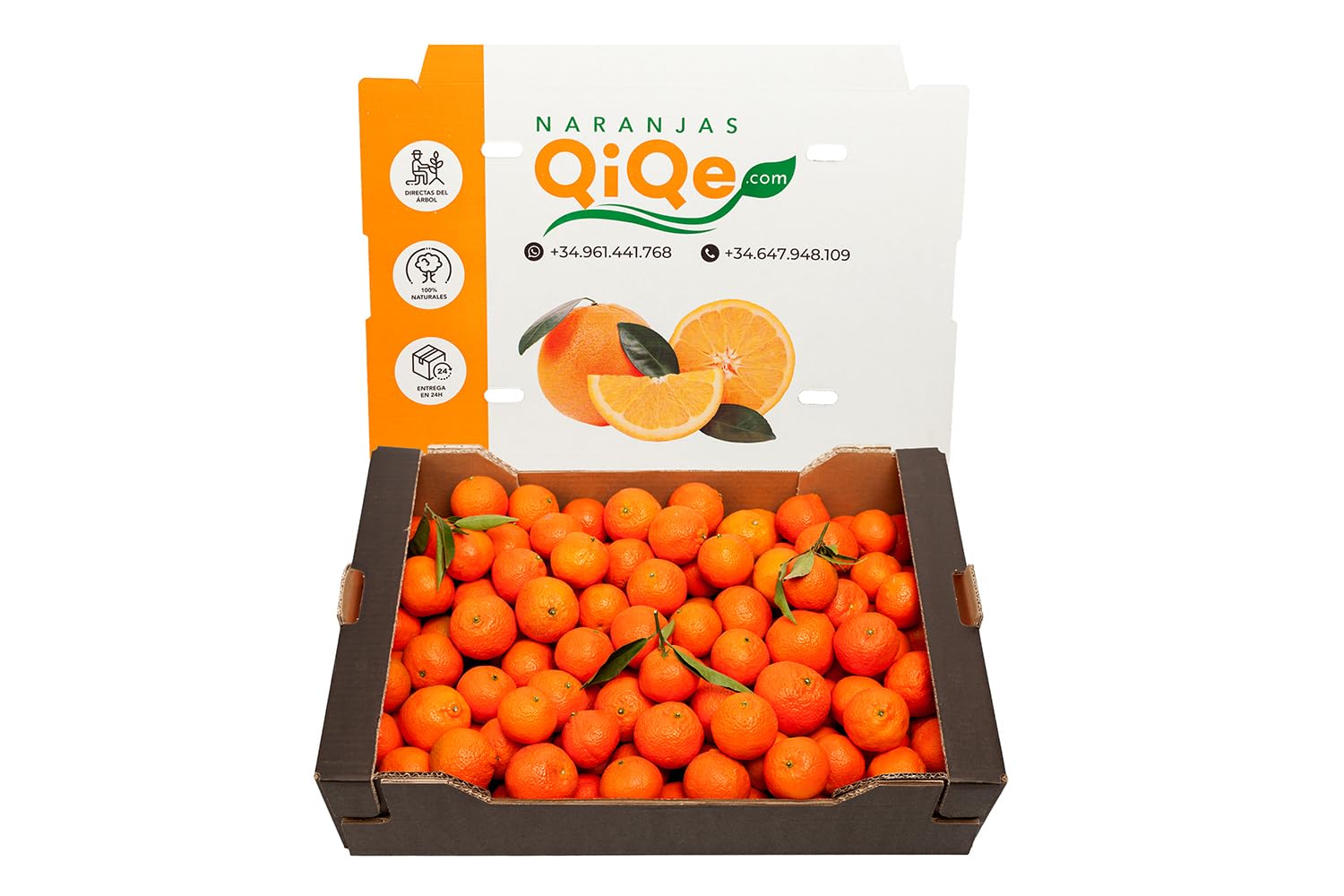 MANDARINAS DE VALENCIA RECIEN RECOLECTADAS (15KG)