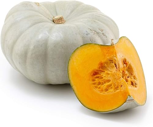 Miniatura 4 de Jarradale semillas de calabaza color verde pálido Jarrahdale 10 semillas de reliquia premium semillas de jardín de Islas Garden Seeds semillas sin