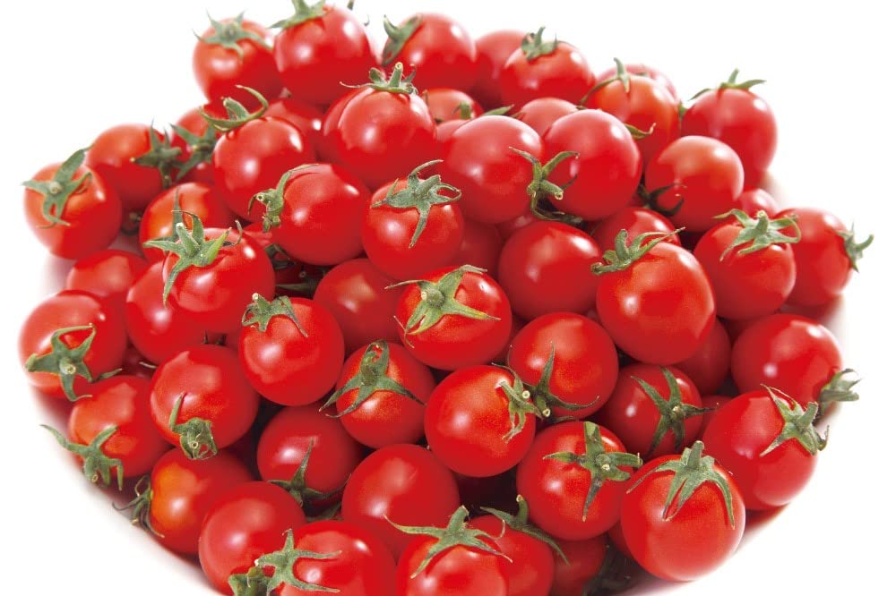 Amazon.co.jp: アーテック(artec) ミニファームおうちで育てるミニ