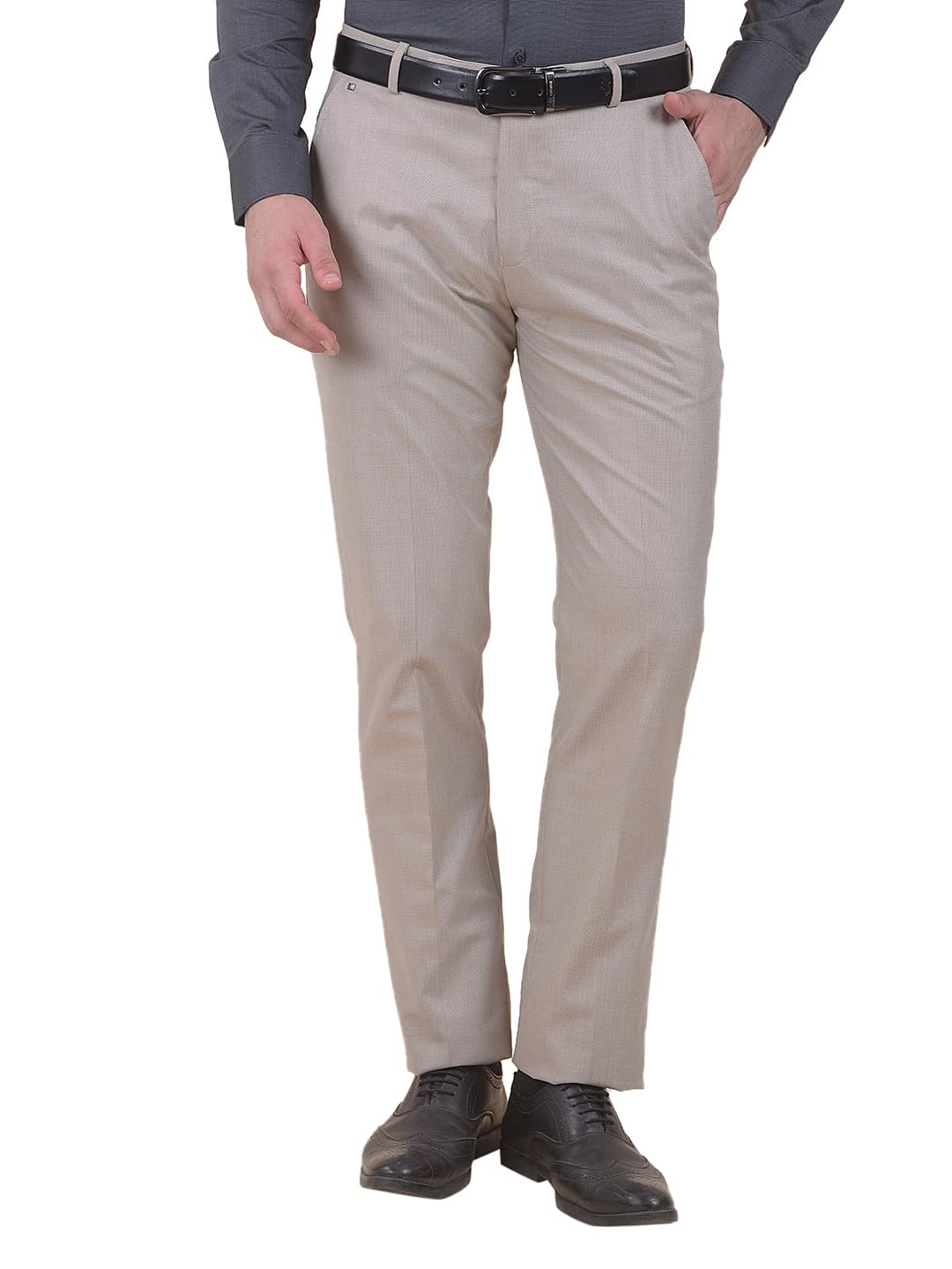 cantabil Men's Regular Fit Poly Viscose Trouser | Hook & Bar Closure | Self Design Formal Pants | Soft Durable Fabric | Smart Look-picture-34