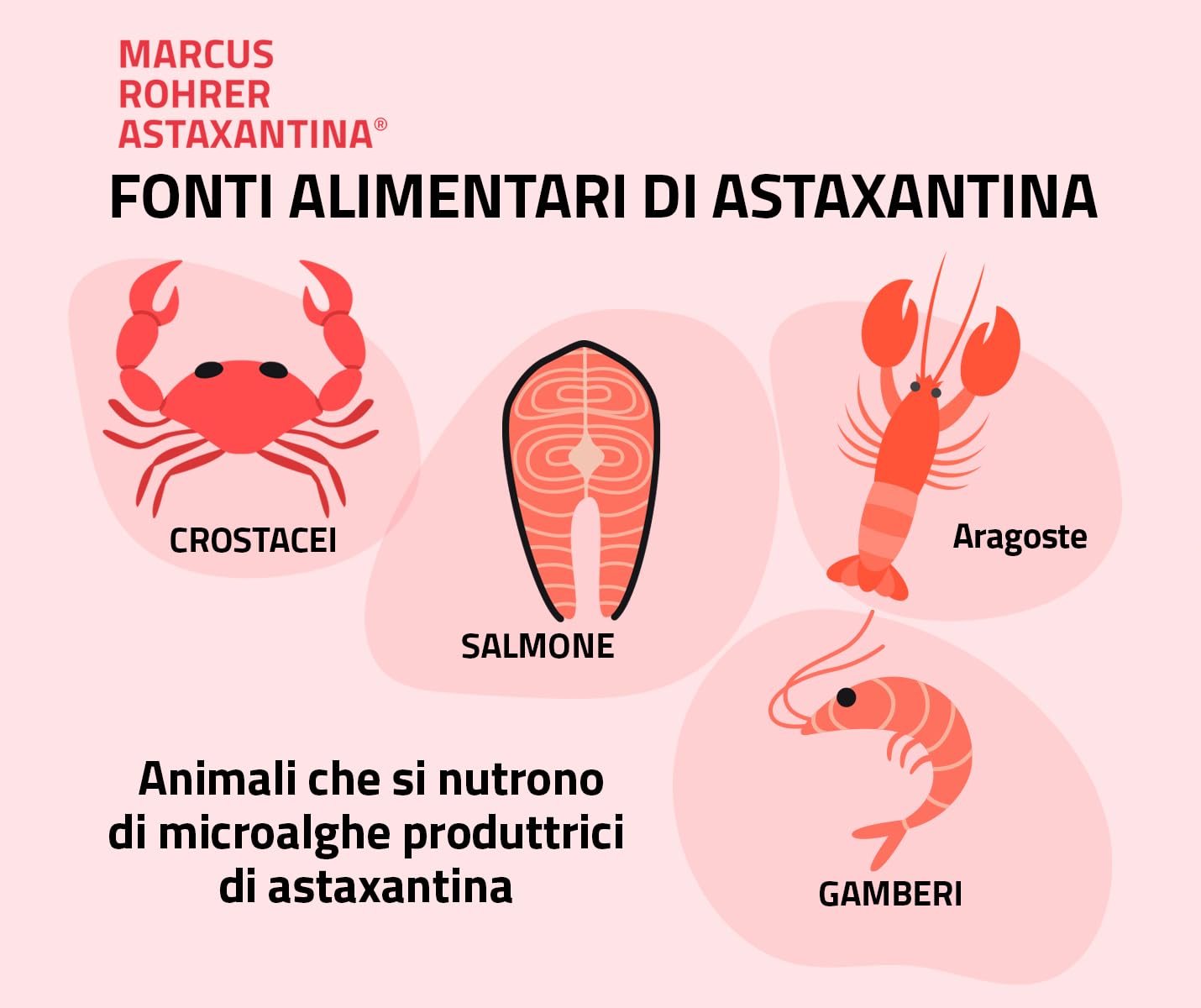 Marcus Rohrer Astaxanthine, Complément Alimentaire Antioxydant, Protection Soleil, Rayons UV, Vieillissement Peau et Yeux, Stress Oxydatif, 30 Softgel