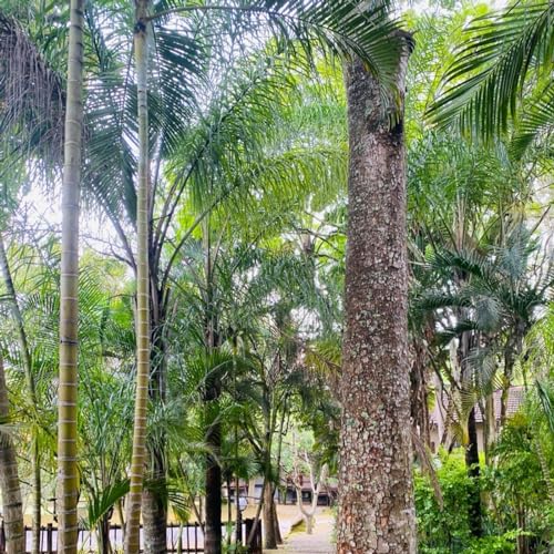 No one will take what&rsquo;s yours