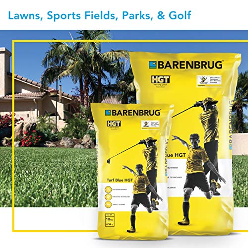 Barenbrug Turf Blue Healthy Grass Technology Grass Seed with Yellow Jacket Coating Heavy