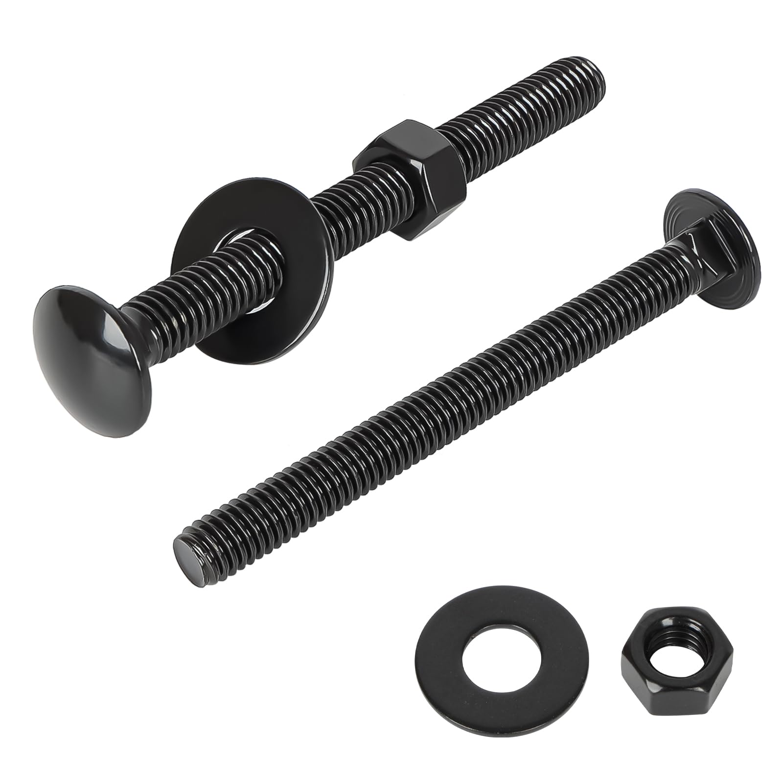 Stainless Steel Carriage Bolts - 12 Sets 1/4-20 x 1 -7