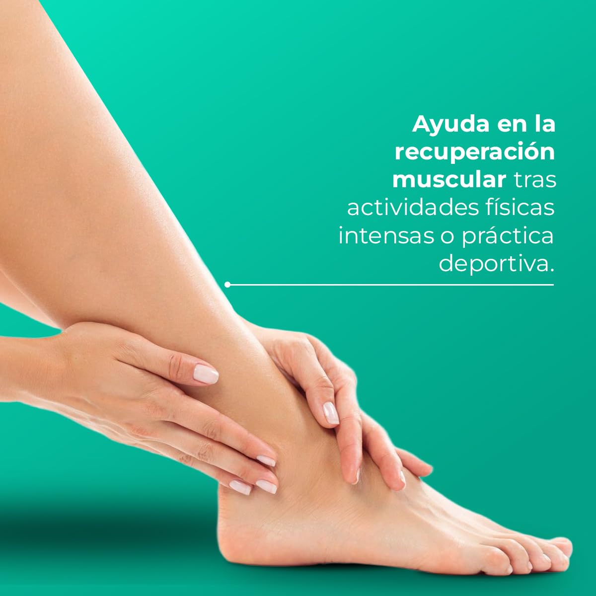 Noche y Día - FRIGIBAND - Loción Efecto Frío para Piernas Cansadas - Líquido para vendas Frías, Reductor y Reafirmante - Con Algas Fucus, Hiedra y Activos Hipotérmicos - 1000 ml