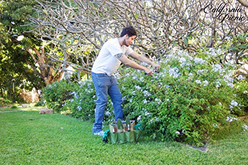 Garden Tools Set | Gardening Gifts | Gardening Tools Set | 9 Piece Garden Tool Set | Digging Claw Gardening Gloves Succulent Tool Set | Planting Tools | Gardening Supplies Basket | Rake Gloves - Thumbnail 6
