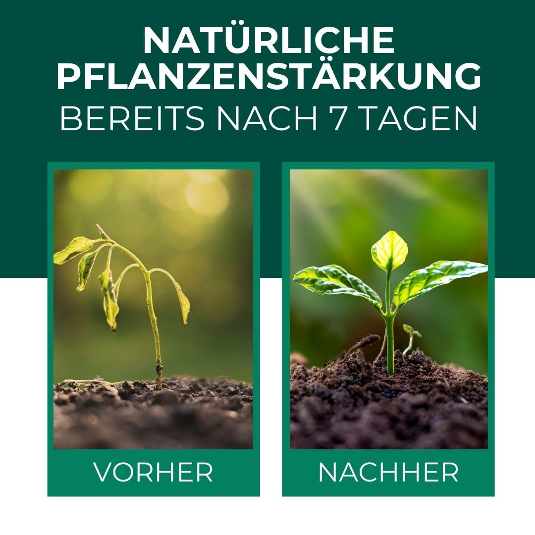 Silberkraft Neemöl 1000 ml mit Emulgator - kaltgepresst & vorgemischt - Ergibt 100 L sprühfertiges Neem-Öl Spray - Niemöl zur Pflanzenpflege für drinnen & draußen