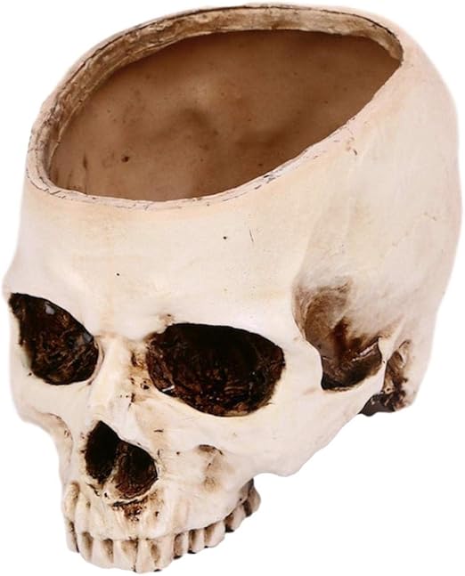 Amazon Queen B ガラ空き ドクロ 小物入れ 卓上 リアル 頭蓋骨 骸骨 ガイコツ おしゃれ かわいい インテリア 白 ホワイト プランター スタンド 鉢 ハロウィン グッズ 飾り 植木鉢 雑貨 ノーマル 置物 オブジェ オンライン通販