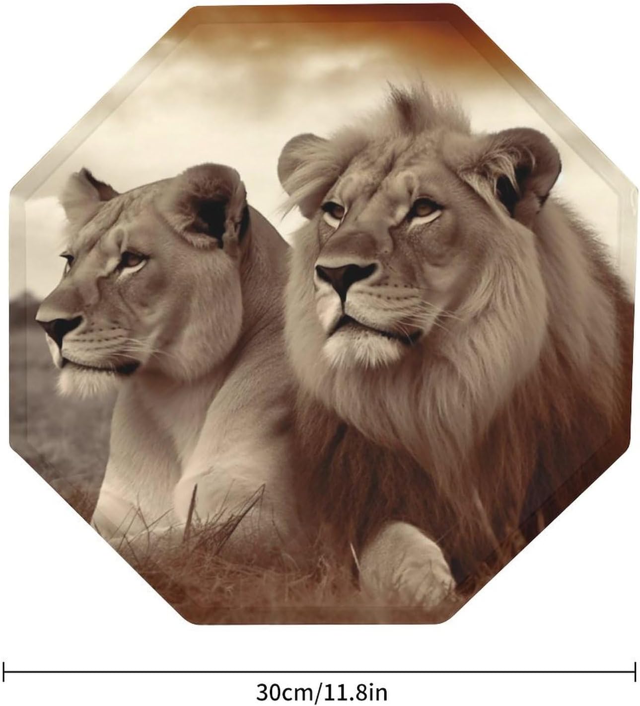 Ctagon Metal Sign for Home, Modern Display Plate for Kitchen, African Lion And Lioness Plates Accent Hanging Wall Decorations 3PCS for Living Room, Bedroom, Hallway, Hotel