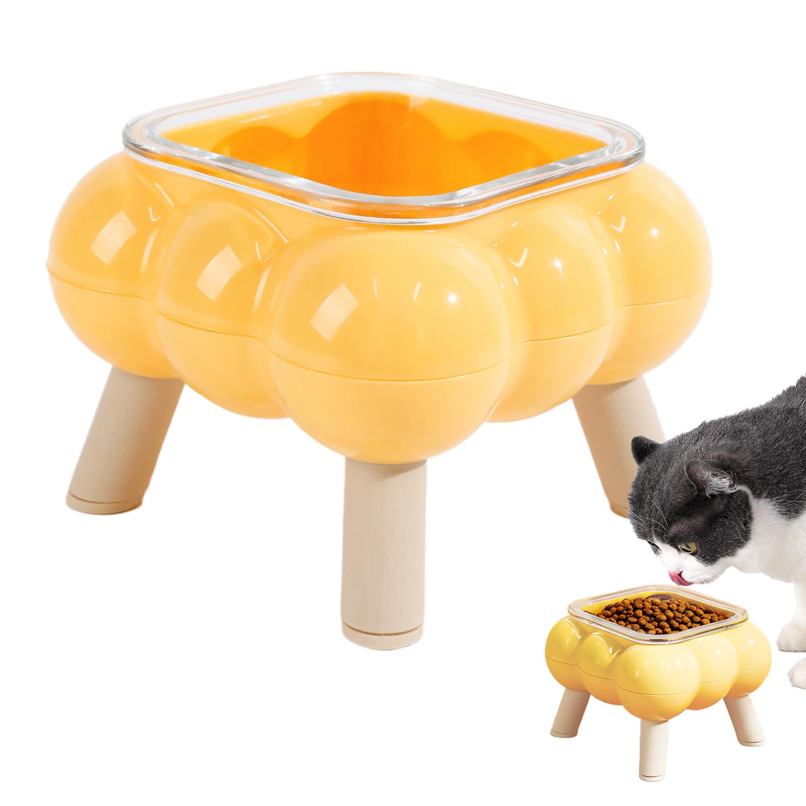 Gamelle d'eau à pattes hautes noire pour choyer votre chat ou chaton adoré chaque jour