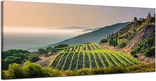 Canvas Wall Art Prints Southern California vineyards hillside hazy mountain Large Framed Wall Art Painting Artwork Poster Hanging Home Decor for Living Room Office Bathroom 20"x40"