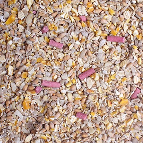Garden Wildlife DirectNo Mess / No Waste / No Grow Wild Bird Seed Mix (25Kg)
