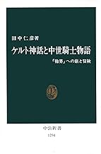 ケルト神話と中世騎士物語　「他界」への旅と冒険 (中公新書)