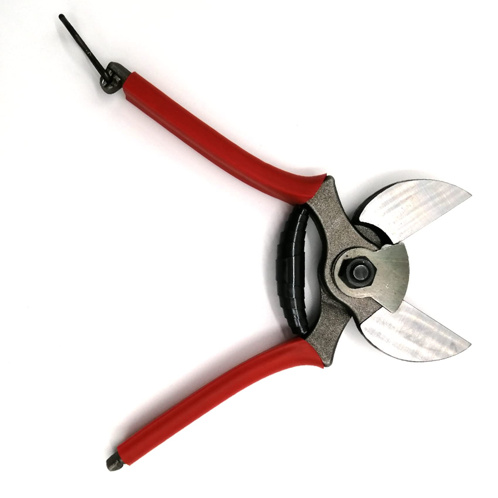 Forbice Da Potatura Professionale A Doppio Taglio 20cm - Acciaio, Made In Italy - Foto 9