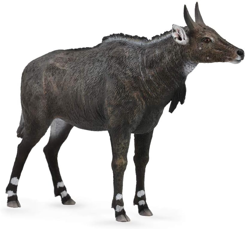 Collecta Nilgai Amazon Co Uk Toys Games